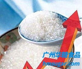 03月08日關(guān)于東邊地域和廣西地域白糖價(jià)格報(bào)價(jià)簡述
